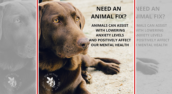 Living With Pets