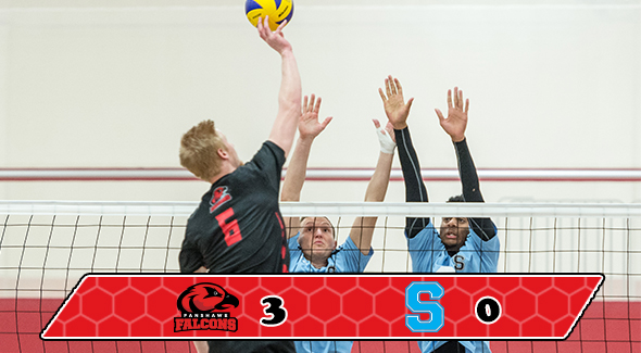 Falcons Advance to Play for Gold