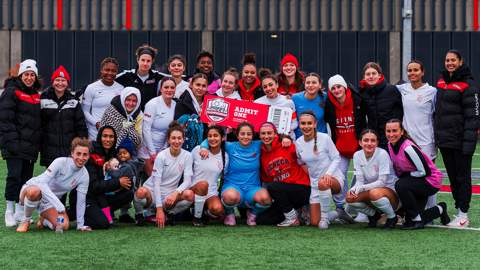 Sting Reach Final Four Again