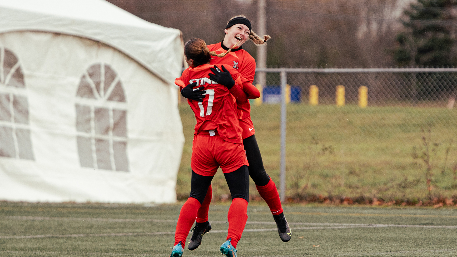 Metcalfe-Simiana Nets Winner for Sting