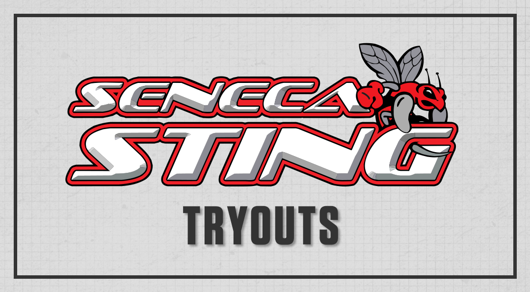 Indoor Soccer Tryouts Announced